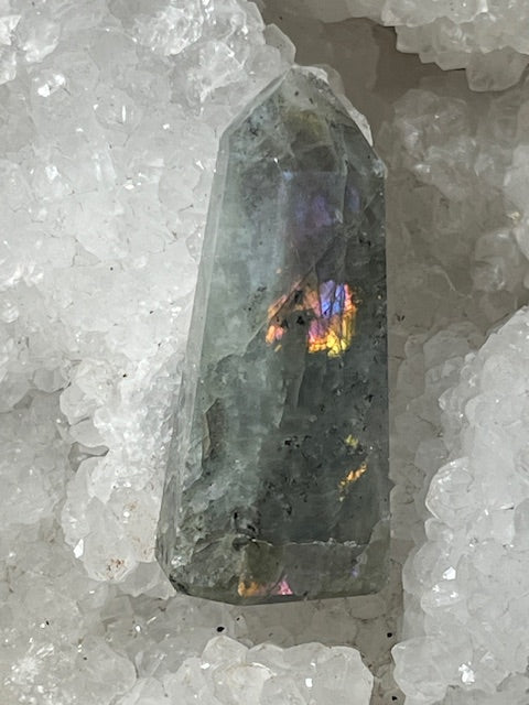 Pointe Labradorite Grade Extra