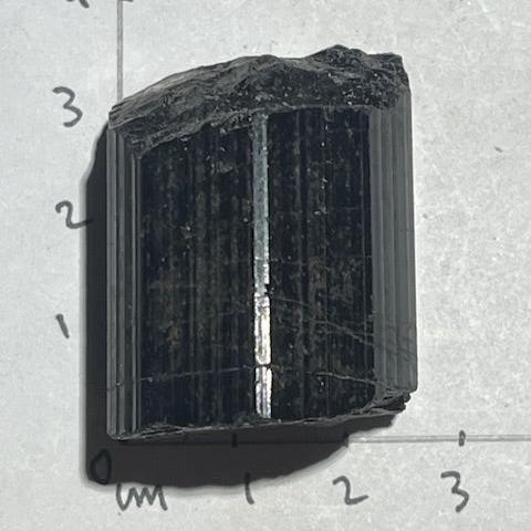 Tourmaline Noire OASIS DE CRISTAL