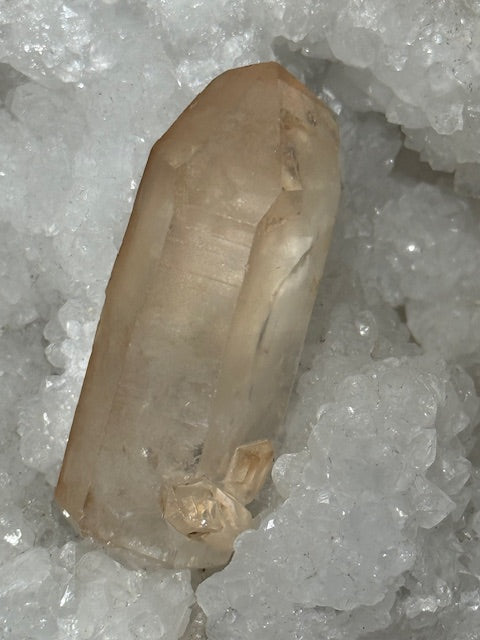 Quartz Lémurien Tangerine PONT ( Pénétrateur ou Enfant intérieur) Grade A