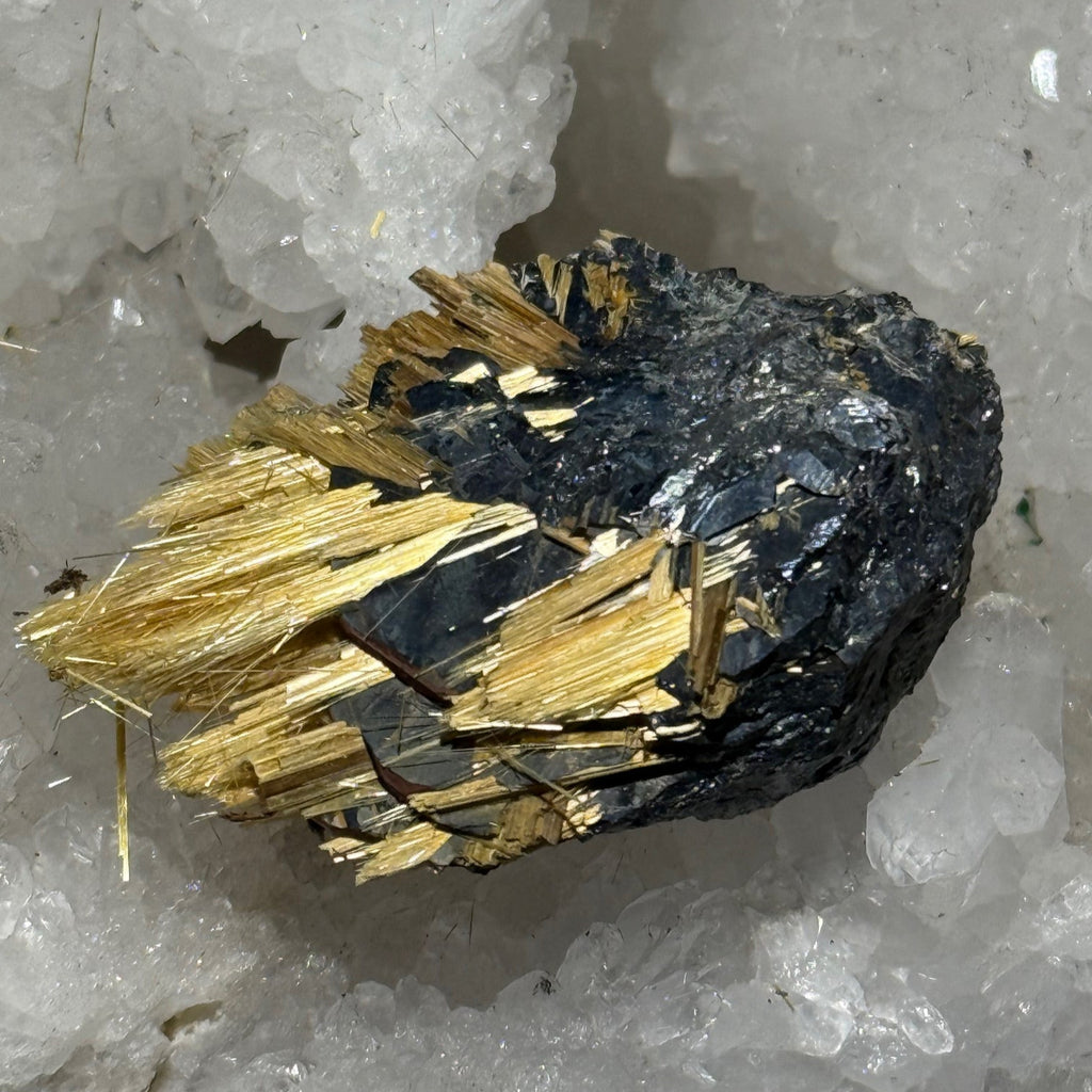 Rutilé Doré sur Hématite 