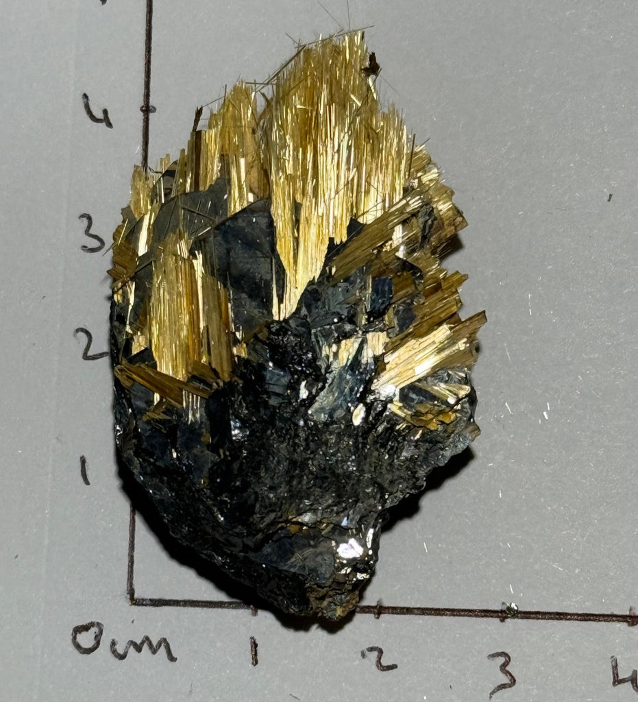 Rutilé Doré sur Hématite 