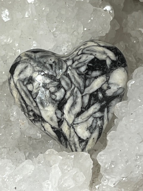 Coeur Pinolite