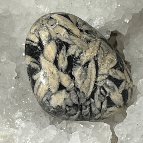 Pinolite