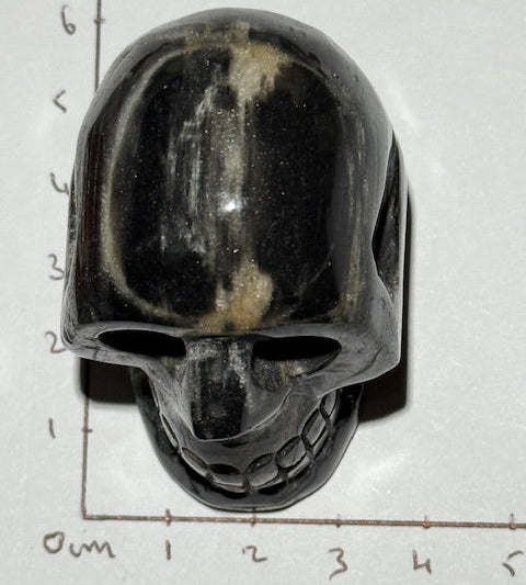 Crâne en Pierre D’Isua