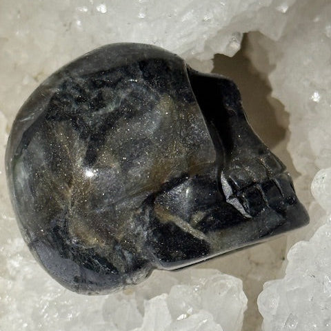 Crâne en Pierre D’Isua