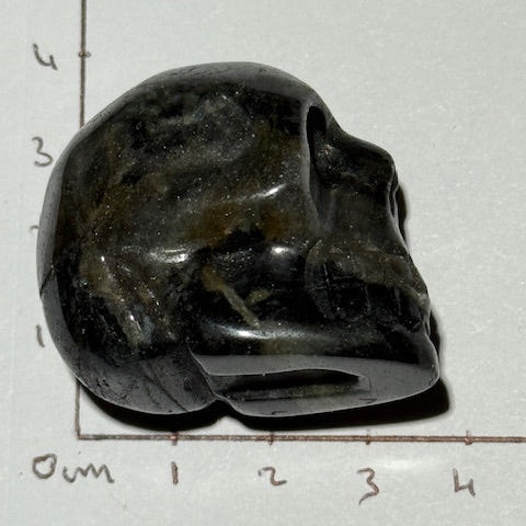 Crâne en Pierre D’Isua