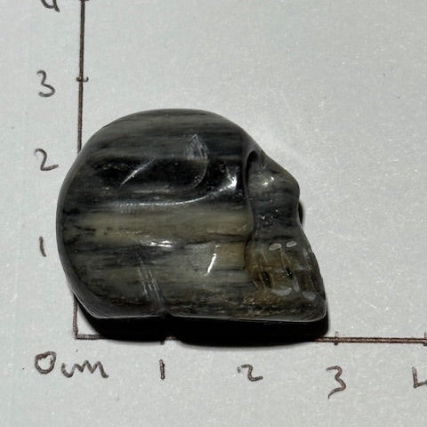 Crâne en Pierre D’Isua