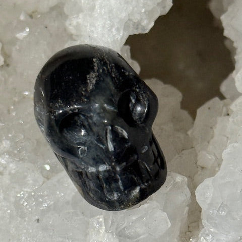 Crâne en Pierre D’Isua