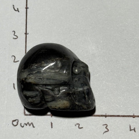 Crâne en Pierre D’Isua