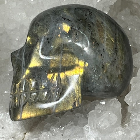 Crâne Labradorite