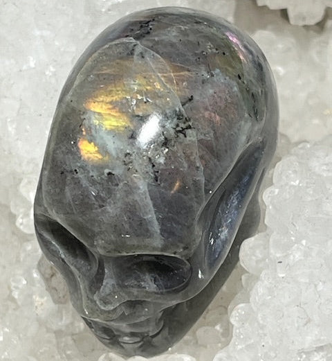 Crâne Labradorite