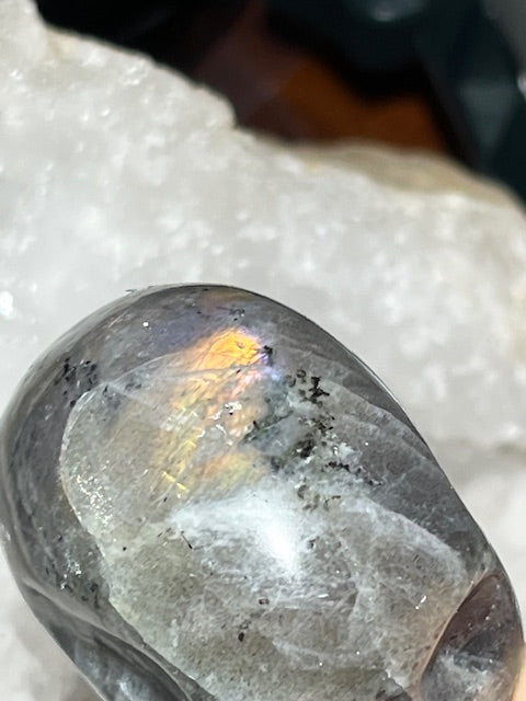 Crâne Labradorite Grade A