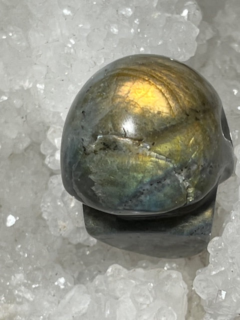 Crâne Labradorite Grade A