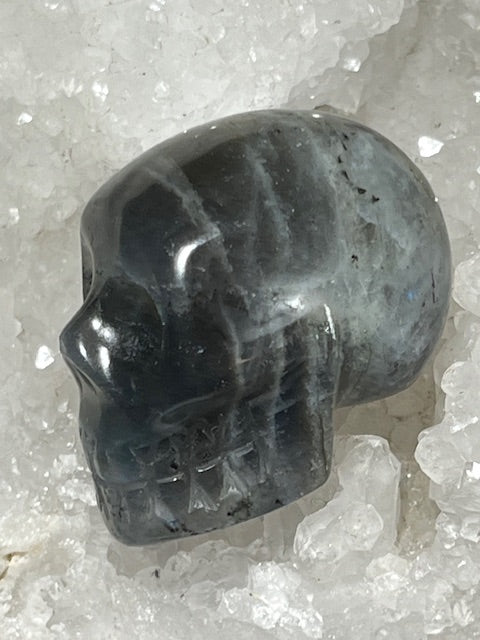 Crâne Labradorite Grade A