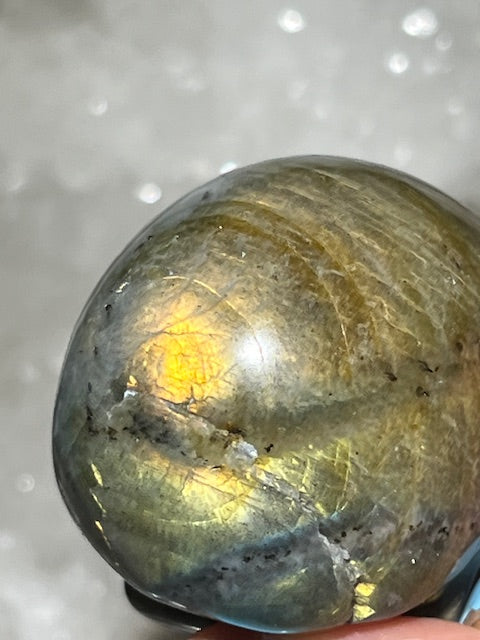 Crâne Labradorite Grade A