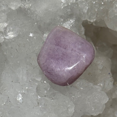 Kunzite oasis de cristal