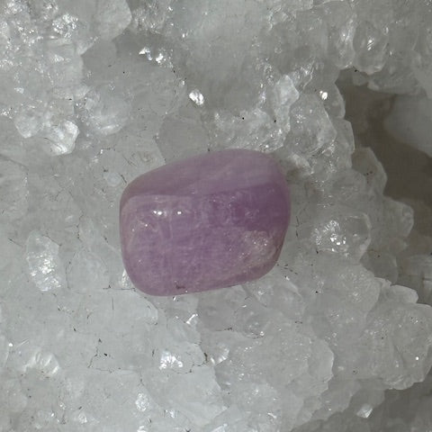 Kunzite oasis de cristal