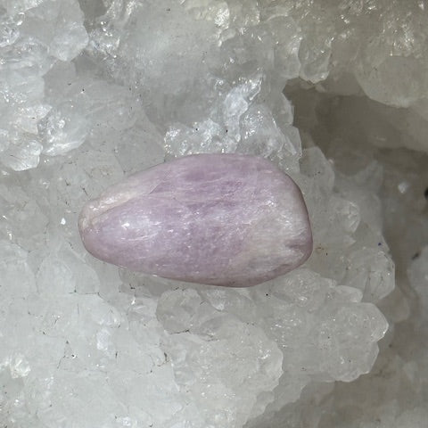 Kunzite oasis de cristal