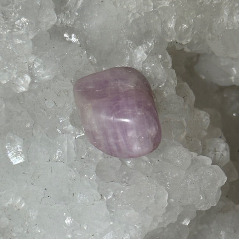 Kunzite oasis de cristal