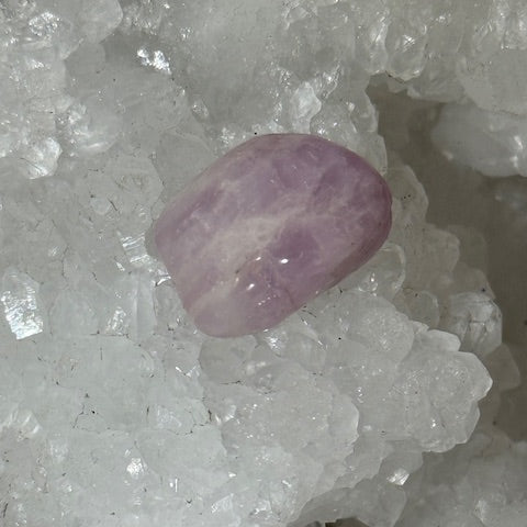 Kunzite oasis de cristal