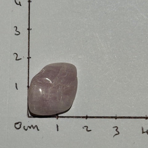 Kunzite oasis de cristal