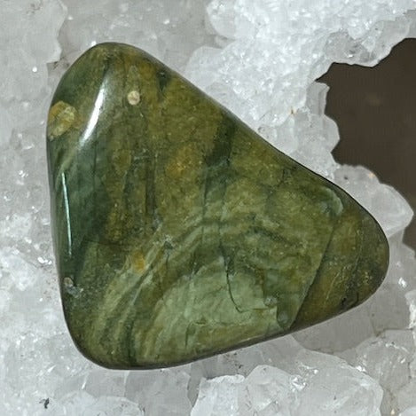 Jaspe Rainforest ( Rhyolite)