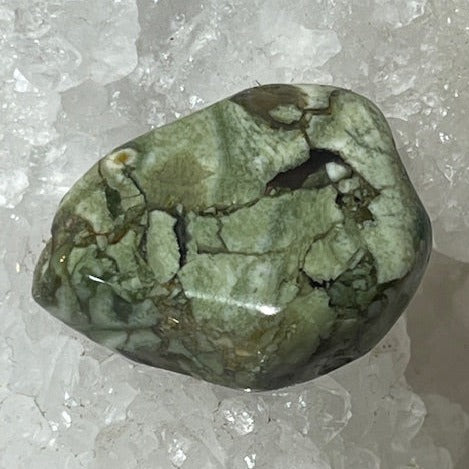 Jaspe Rainforest ( Rhyolite)