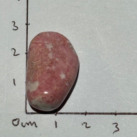 Rhodonite oasis de cristal 