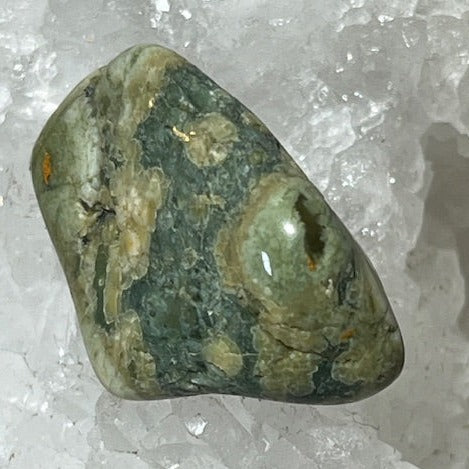 Jaspe Rainforest ( Rhyolite)