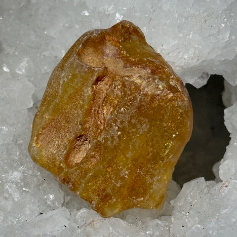 Ambre Véritable