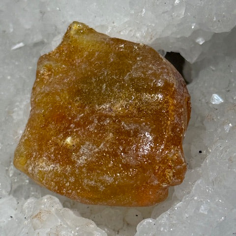 Ambre Véritable