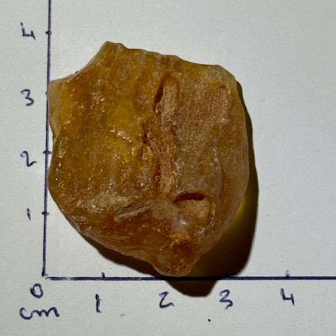 Ambre Véritable