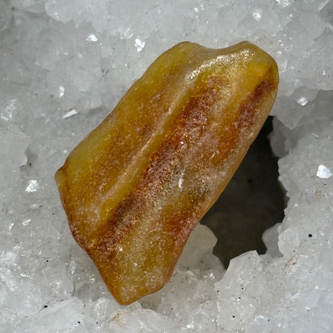 Ambre Véritable