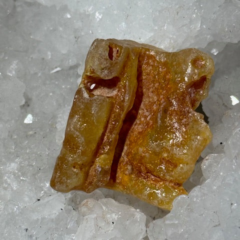 Ambre Véritable