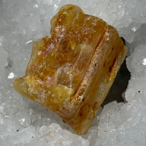 Ambre Véritable