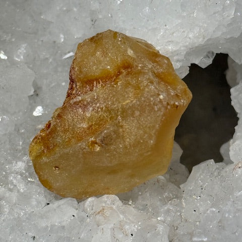 Ambre Véritable