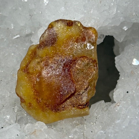 Ambre Véritable
