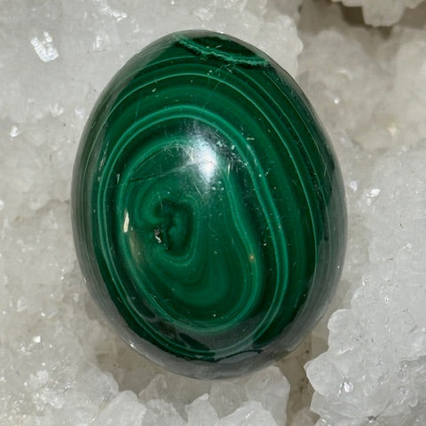 oeuf Malachite oasis de cristal 