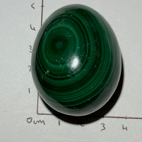 oeuf Malachite oasis de cristal 