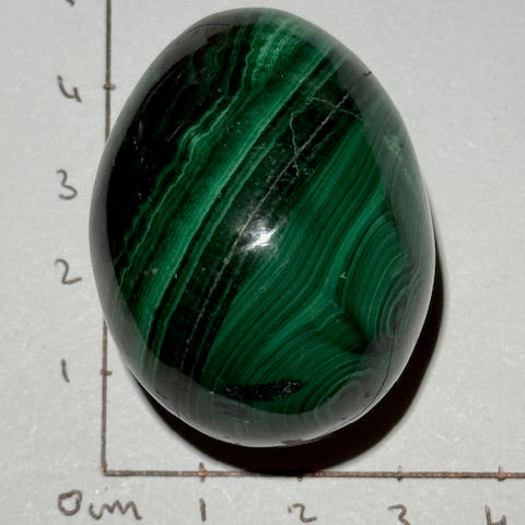 oeuf Malachite oasis de cristal 