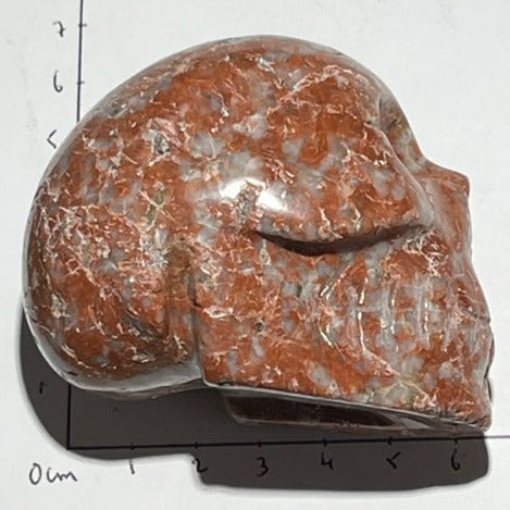 Crâne Rosophia