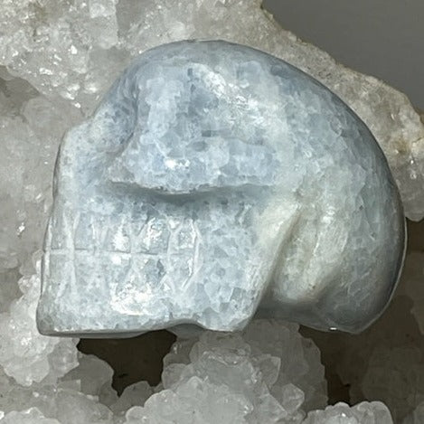Crâne Calcite Bleue