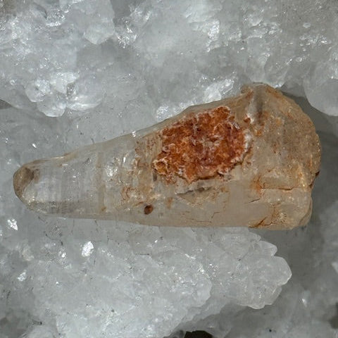 Quartz Doré Enhydro (Quartz de pétrole)