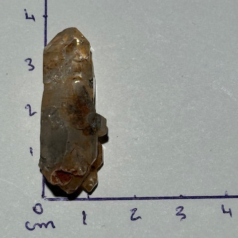 Quartz Doré Enhydro (Quartz de pétrole)