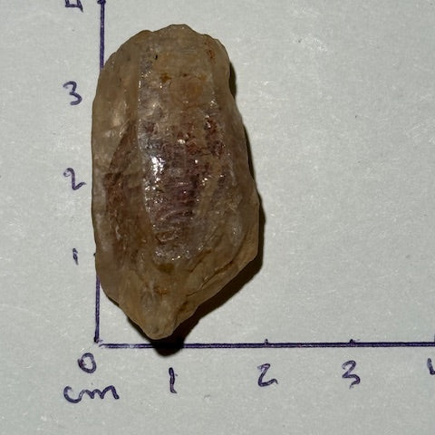Quartz Doré Enhydro (Quartz de pétrole)