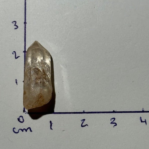 Quartz Doré Enhydro (Quartz de pétrole)