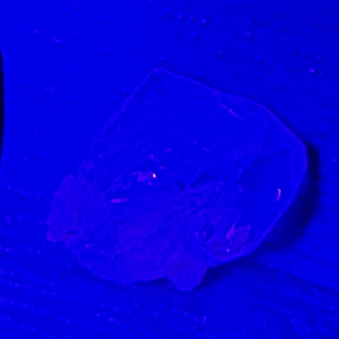Enhydro Golden Quartz (Petroleum Quartz)