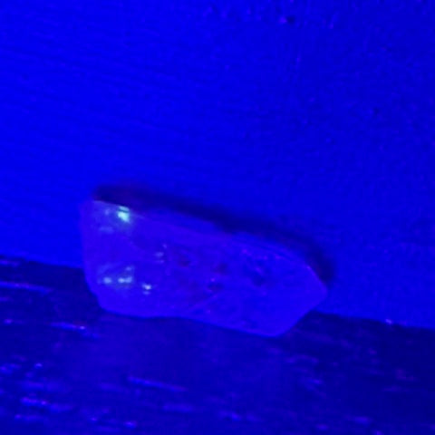 Quartz Doré Enhydro (Quartz de pétrole)