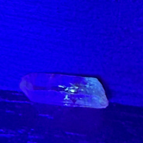Quartz Doré Enhydro (Quartz de pétrole)