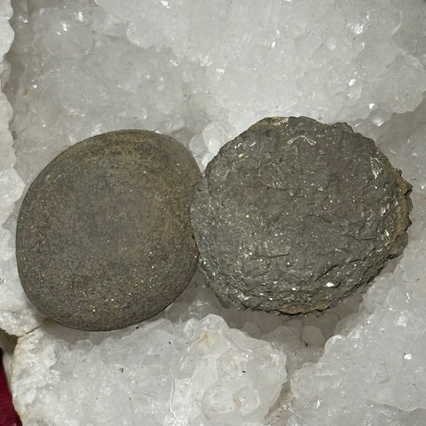 Pinas (Isis & Osiris) Très Rares